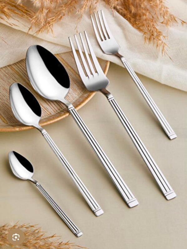 Stainless Steel Spoon