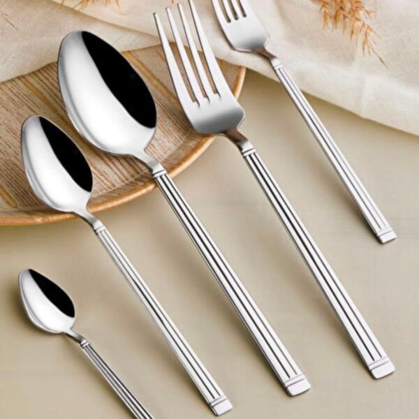 Stainless Steel Spoon